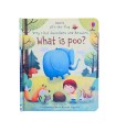 WHAT IS POO? - VERY FIRST QUESTIONS AND ANSWERS